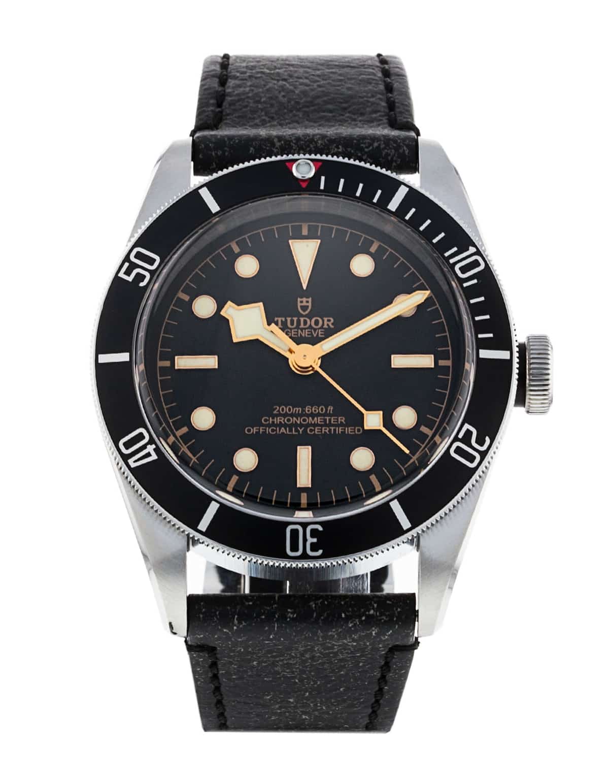 Tudor Heritage Black Bay M79230N-0008